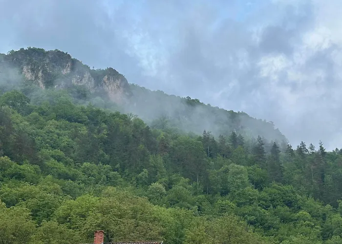 Сasa de vacaciones брязово Ribaritsa